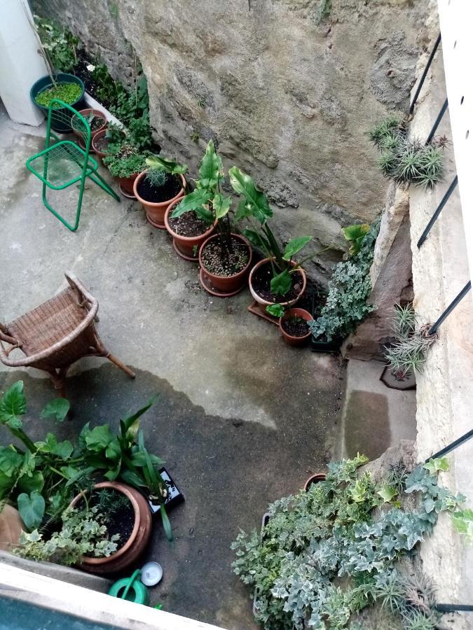 Casa Da Judiaria Velha Hotell Viseu Exteriör bild